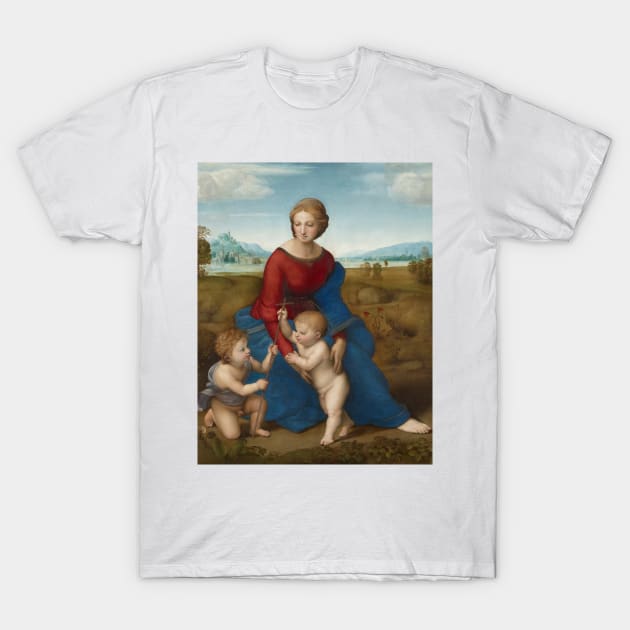 Madonna in the Meadow by Raphael T-Shirt by Classic Art Stall